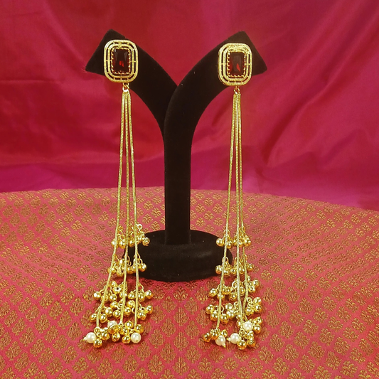 Long Kashmiri Earrings