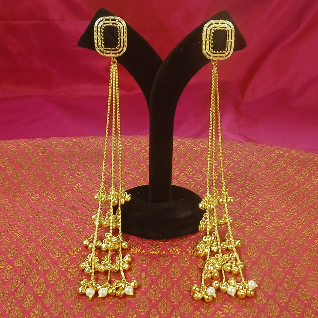 Long Kashmiri Earrings