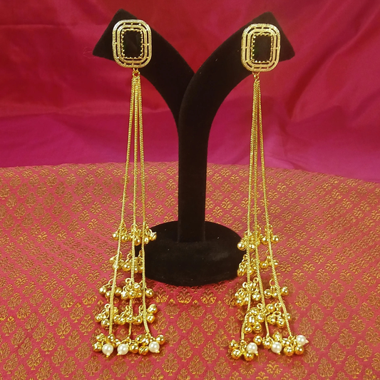 Long Kashmiri Earrings
