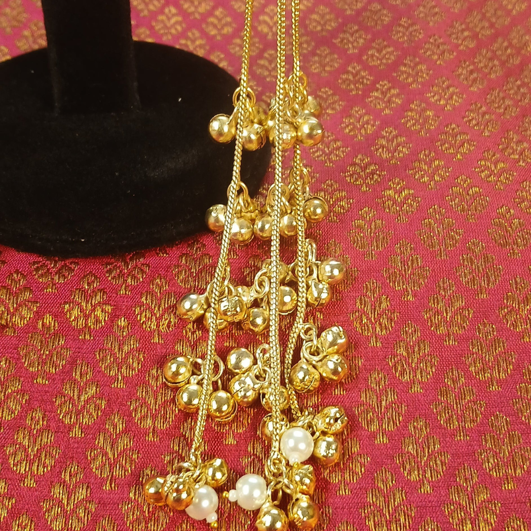 Long Kashmiri Earrings