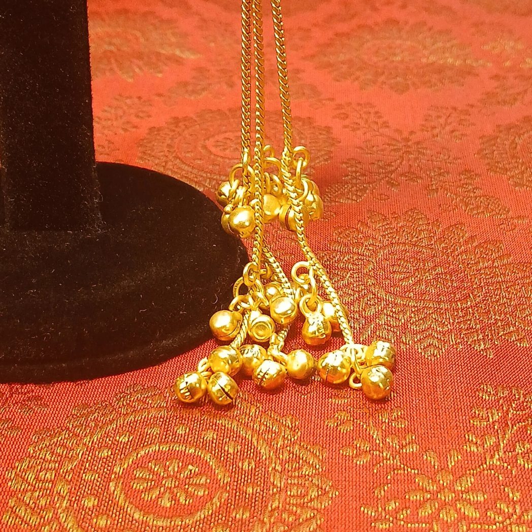 Long Kashmiri Earrings with Ghungroo