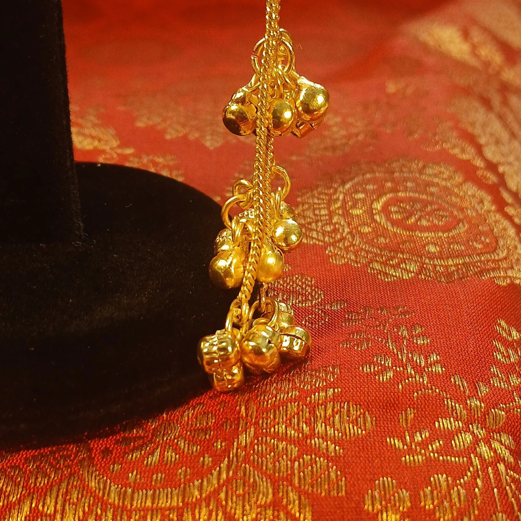 Long Kashmiri Earrings with Ghungroo